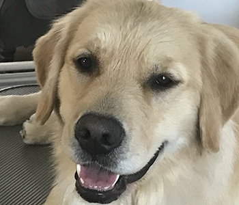 hanna's beautiful face